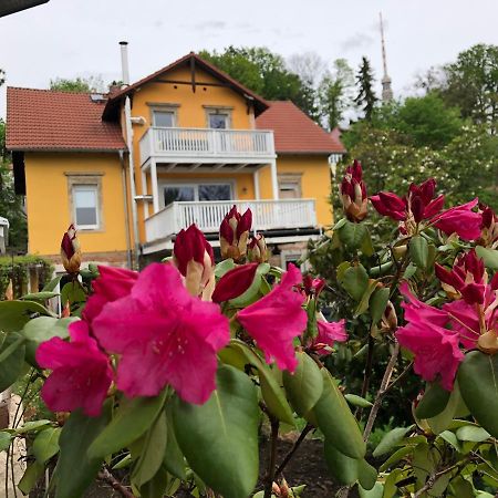 Ferienwohnung Casa Casimir Mit Elbblick, Balkon Und Grossen Garten Дрезден Экстерьер фото
