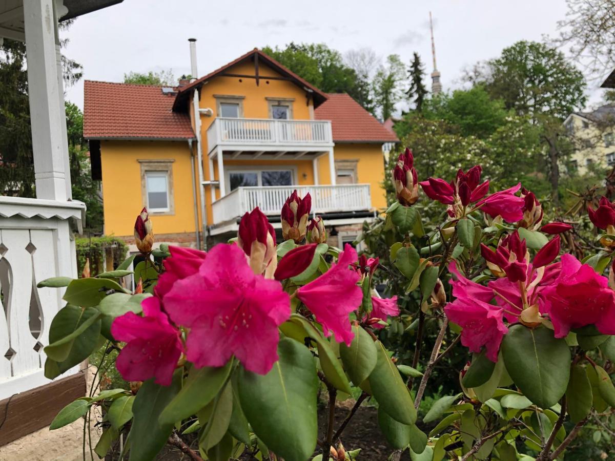 Ferienwohnung Casa Casimir Mit Elbblick, Balkon Und Grossen Garten Дрезден Экстерьер фото